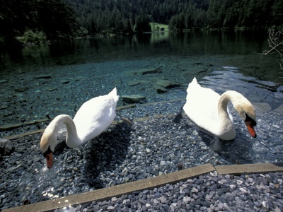 Hotel Schloss Fernsteinsee Tauchen Fernsteinsee