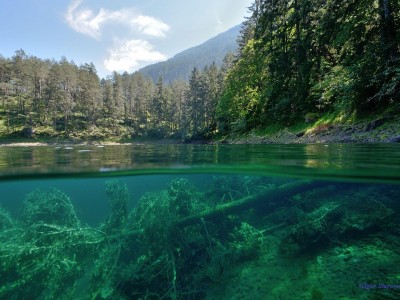 Tauchplätze in Tirol